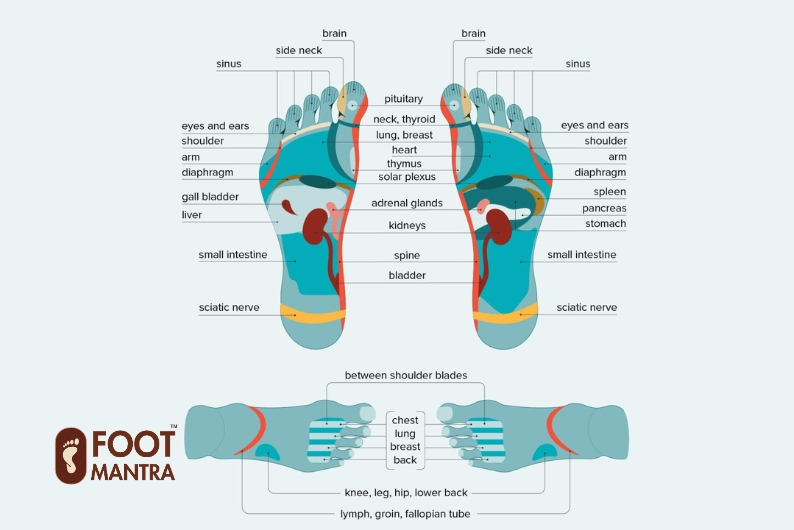 foot reflexology health benefits